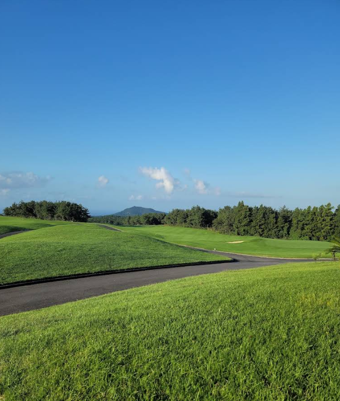 /upload/vvipgolf/image/goods/main/30000233/vvipgolf_cm9900_30001078.png