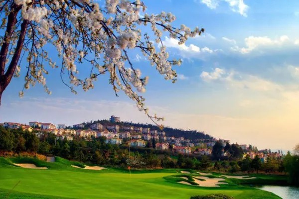 /upload/vvipgolf/image/goods/main/30000236/vvipgolf_cm9900_30000924.jpg