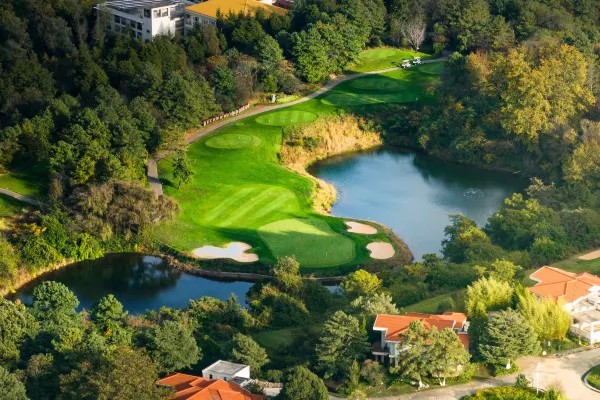 /upload/vvipgolf/image/goods/main/30000236/vvipgolf_cm9900_30000925.jpg