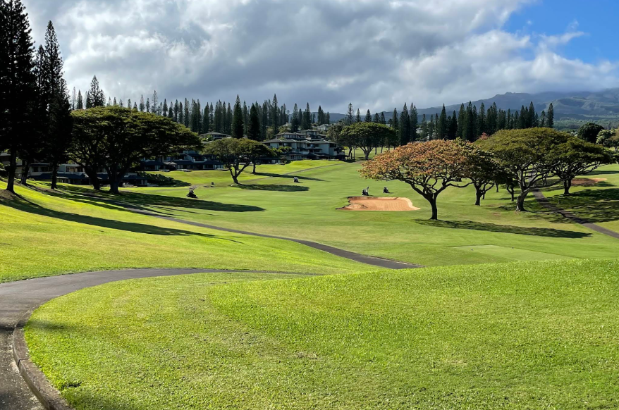 /upload/vvipgolf/image/goods/main/30000250/vvipgolf_cm9900_30001176.png