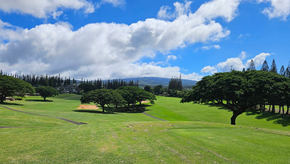 /upload/vvipgolf/image/goods/main/30000250/vvipgolf_cm9900_30001179.png