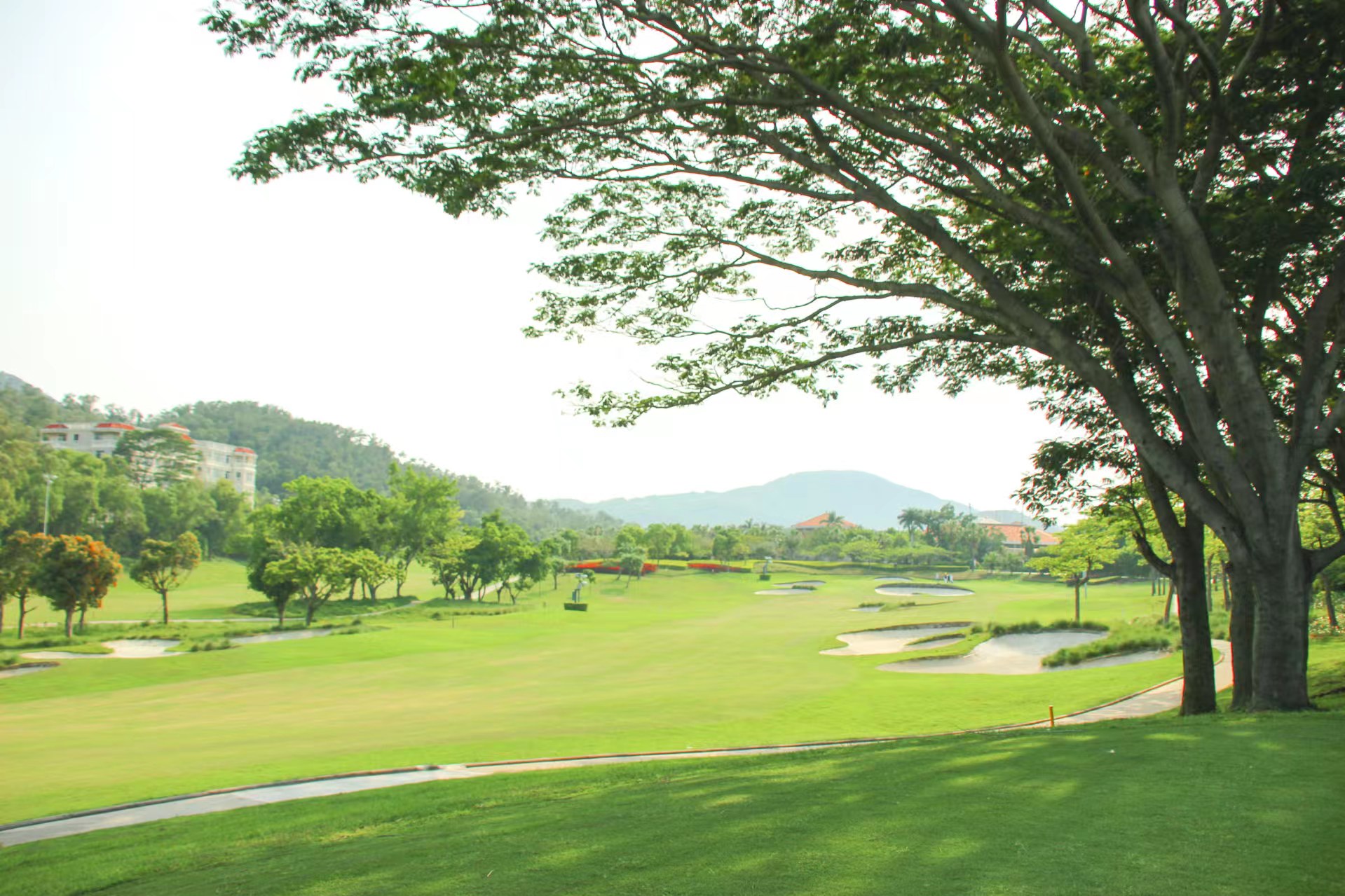 /upload/vvipgolf/image/goods/main/30000277/vvipgolf_cm9900_30001392.jpg
