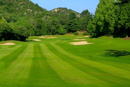 /upload/vvipgolf/image/goods/main/30000444/vvipgolf_cm9900_30002108.jpg