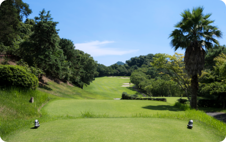 /upload/vvipgolf/image/goods/main/30000498/vvipgolf_cm9900_30002344.png