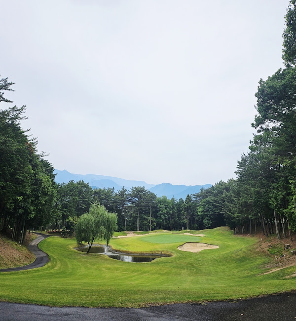 /upload/vvipgolf/image/goods/main/30000508/vvipgolf_cm9900_30002381.jpg
