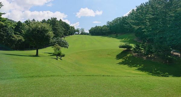/upload/vvipgolf/image/goods/main/30000508/vvipgolf_cm9900_30002382.jpg