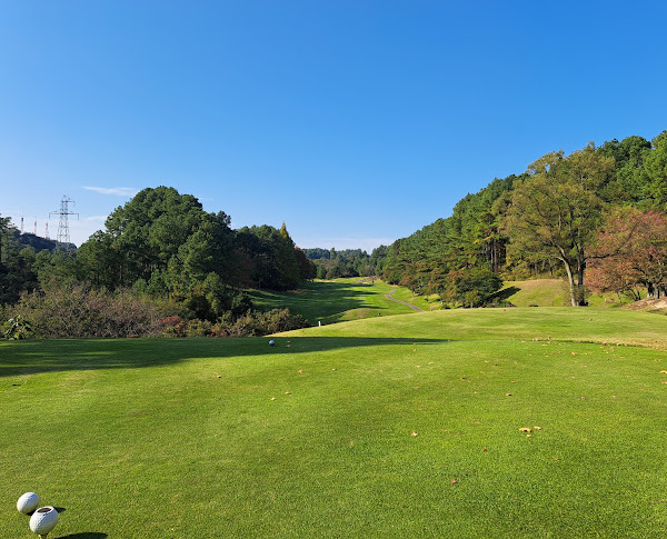 /upload/vvipgolf/image/goods/main/30000508/vvipgolf_cm9900_30002383.jpg
