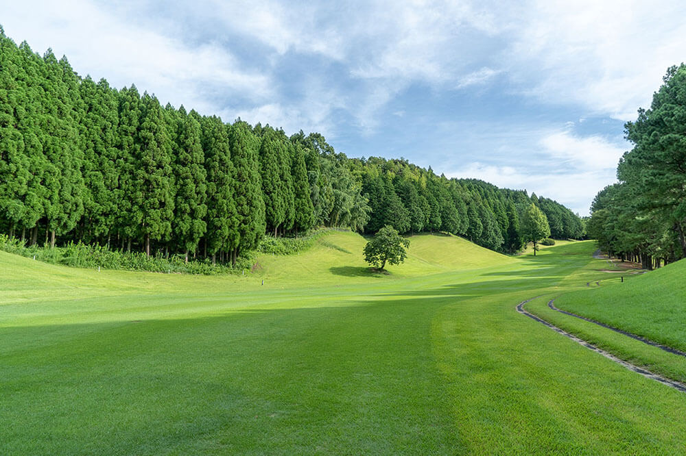 /upload/vvipgolf/image/goods/main/30000624/vvipgolf_cm9900_30002956.jpg